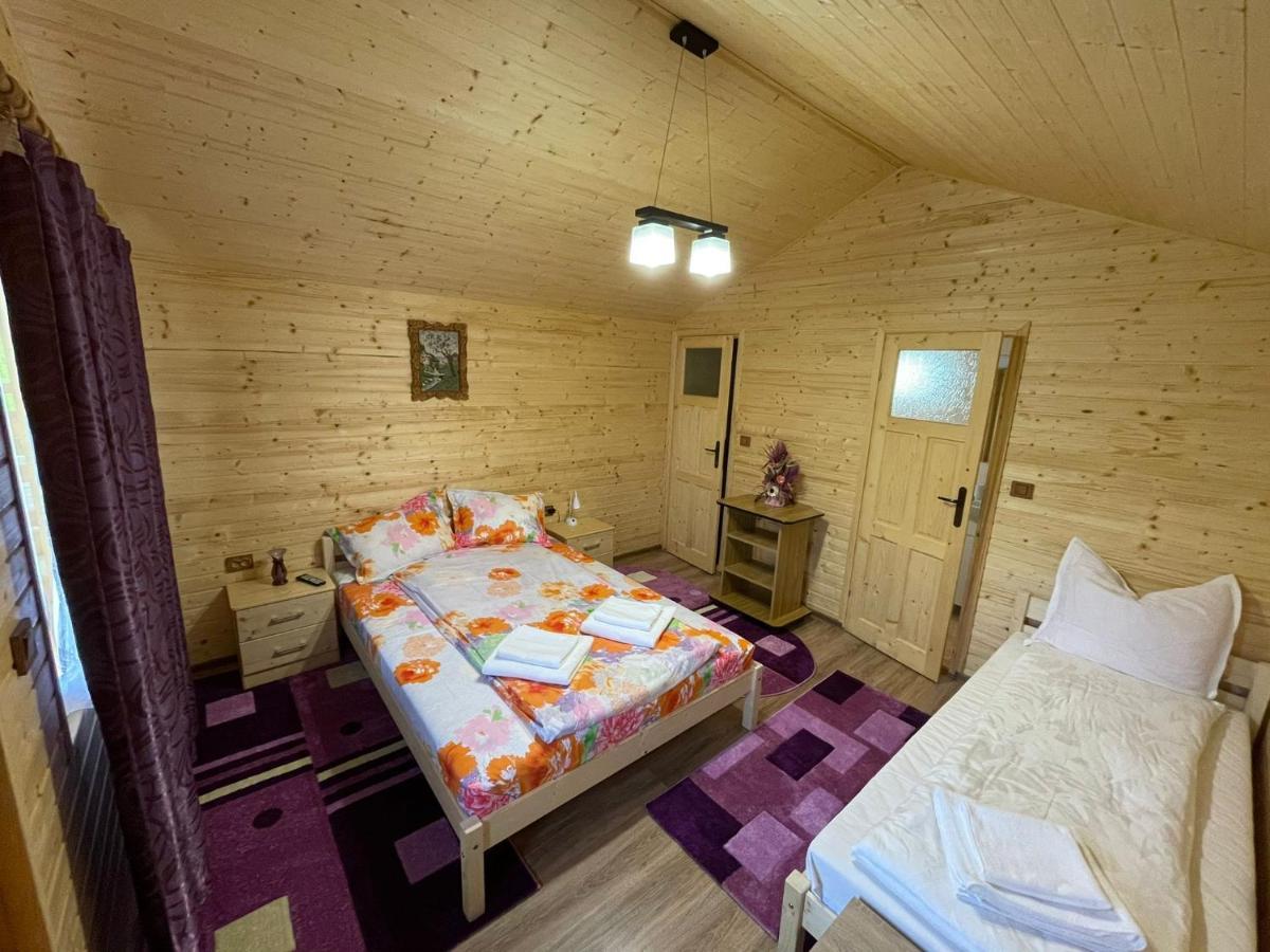 Hotel Casutele Din Retezat Nucsoara  Esterno foto